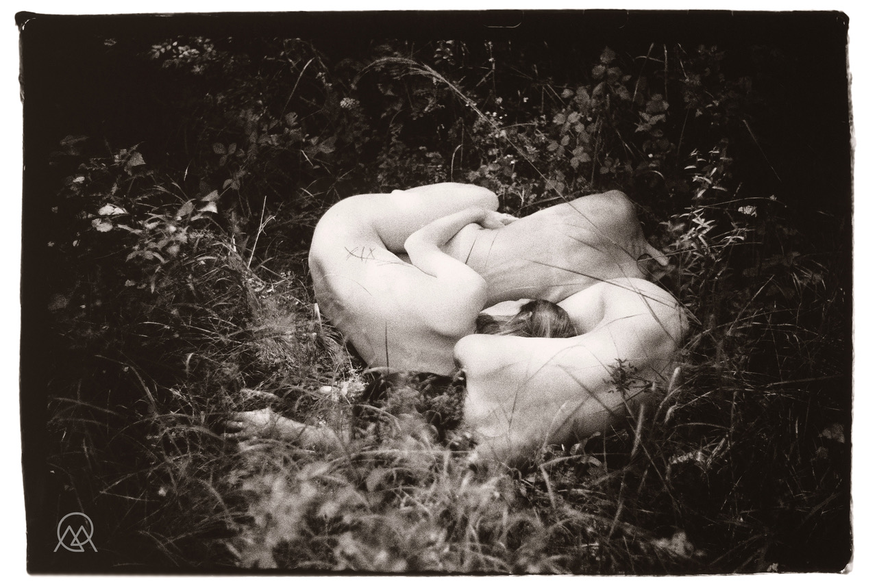 Photographie analogique: Expressions argentiques